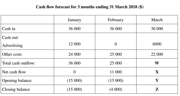 CASH FLOW EXTRACT.JPG